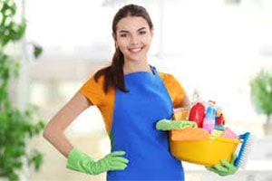 Janitorial Services